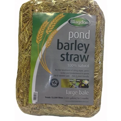 Image of Blagdon Pond Barley Straw Bale, Large, Clears Algae, Green Water and Blanketweed, Natural, for Ponds up to 13,500 Litres