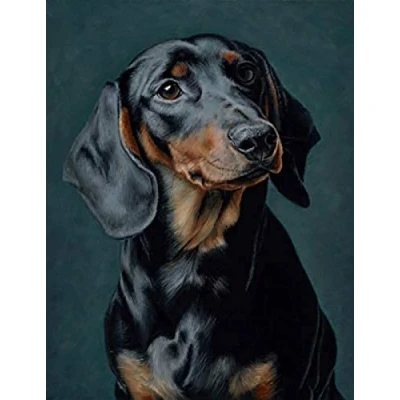 Image of WYWQN 5D DIY Diamond Painting Black Dachshund Sausage Dog Crystal Rhinestone Embroidery Cross Stitch Arts Craft Home Wall Decoration 50x60CM