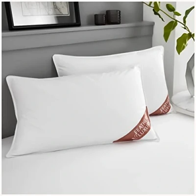 Image of GC GAVENO CAVAILIA 2 Pack Hotel Quality Duck Feather &amp; Down Pillows, Super Soft Breathable Medium Firm Support Pillow Pair (50x70 cm)