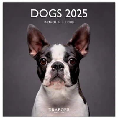 Image of DRAEGER PARIS 1886 Large Wall Calendar 29 x cm 2025 7 languages September 2024 to December 12 photographs available in several themes Dogs Note appointments, birthdays
