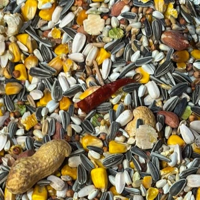 Image of GardenersDream NO1 Parrot Food Premium Quality High Energy Mix Nutritious Wild Garden Bird Feed Additive Free Cleaned to 99.9% Purity Provides Both Mental and Physical Stimulation (10kg)