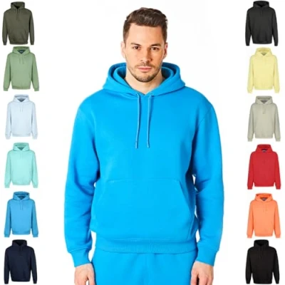 Image of RIPT Mens Hoodie Blue Aster L