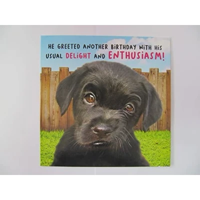 Image of Delight, Birthday, Greetings Card, 163x163mm