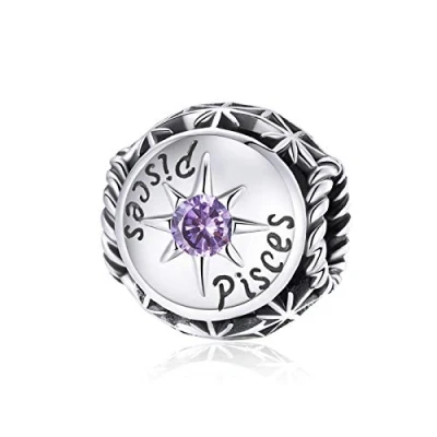Image of Pisces Constellation Charm 925 Sterling Silver Birthstone Lucky Birthday Anniversary Faith Love for Pandora Bracelet (Pisces(2.19 3.20))