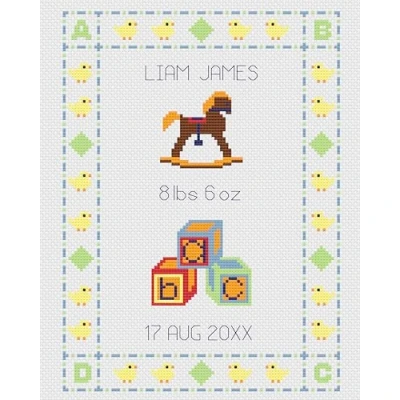 Image of Ducks Birth Sampler Boy Cross Stitch Kit