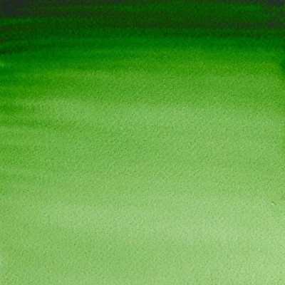 Image of Winsor &amp; Newton Artists Watercolour Hookers Green 5ml Tube