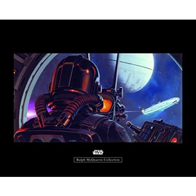 Image of Komar Wall Picture Star Wars Classic RMQ TIE Fighter Pilot Design for Children&#039;s Room/Teenager&#039;s Room Decoration without Frame Available in 3 Sizes, Colourful, WB158 40x30
