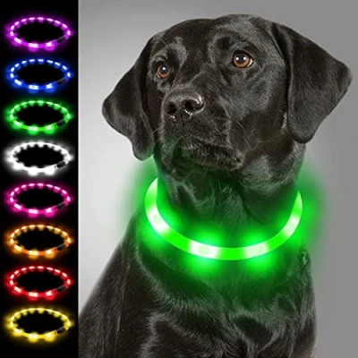 Image of Joytale Light Up Dog Collar,LED Flashing Collar for Night Walking, Rechargeable Glow Collars Puppy Small Medium and Large Dogs,Green