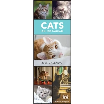 Image of 2025 Cats on Instagram Slim Wall Calendar
