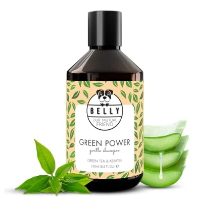 Image of Belly Green Power Dog Shampoo 250ml, Vegan, pH Balanced, Moisturizing &amp; Soothing, with Aloe Vera, Eliminates Odours, Softens Fur, Ideal for Sensitive Skin, No Parabens or Silicones, Made in Germany