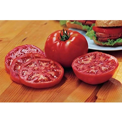 Image of 5 Seeds of Vegetable Tomato Steak Sandwich