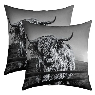 Image of Highland Cow Throw Pillow Covers Grey Bull Cattle 18x18 Set Of 2 Funny Farmhouse Wildlife Animal Cushion Cases For Kids Teens Adult Western Cowboy Soft Decorative Square