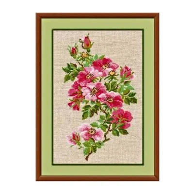Image of RIOLIS Cross Stitch Kit 809 May Wild Rose