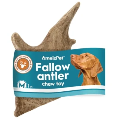 Image of AmeizPet Fallow Antler Chews For Dogs All Natural Dog Chews, Long Lasting Elk Bones Dogs, Durable Deer 1pc M Size