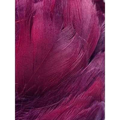 Image of Burgundy Feathers, 100 Pack
