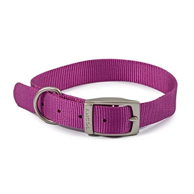 Image of Ancol Viva Lightweight Buckle Collar Purple, Size 4 to fit 35 43 cm, Weather Proof