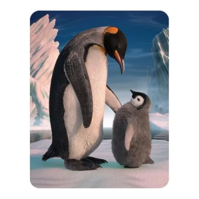 Image of 3D LiveLife Magnet Penguin Son from Deluxebase. Lenticular Ocean Fridge Magnet. Magnetic decor for kids and adults with artwork licensed renowned artist, David Penfound