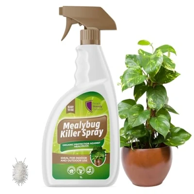 Image of Mealybug Killer Spray 1L Bug with Insecticidal Soap for Indoor Plants Effective Plant Insecticide to Target Mealybugs Easy Use House Vibrant Growth