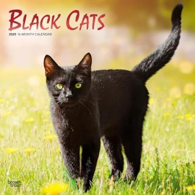 Image of Black Cats 2025 12 X 24 Inch Monthly Square Wall Calendar Foil Stamped Cover Plastic Free
