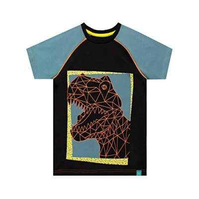 Image of Harry Bear Boys Dinosaur T Shirt Black Age 11 to 12 Years
