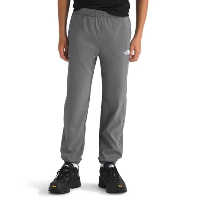 Image of THE North Face B ON Trail PANT Unisex Outdoor trousers for kids, Size: 18 20y, Smoked pearl