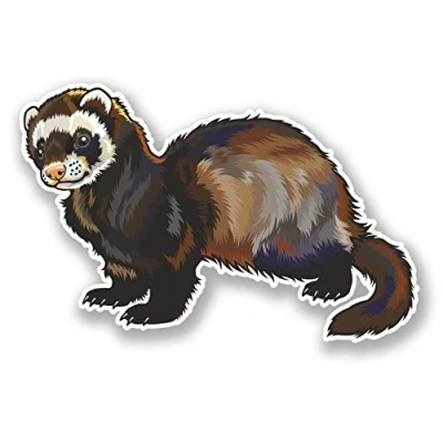 Image of 2 x 10cm Ferret Vinyl Decal Sticker Laptop Car Bike Animal Kids Fun #5850 (10cm Wide 6.5cm Tall)