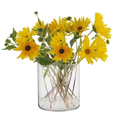 Image of TREND for HOME Clear Cylinder Vase Flowers Pot Pourri H: 15 cm Wide Neck Round Glass Tulip Planter Fruit Candles ⌀ 2350 ml Calen