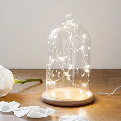 Image of Lights4fun Regular Glass Bell Jar with 20 Warm White Micro LED Fairy Lights