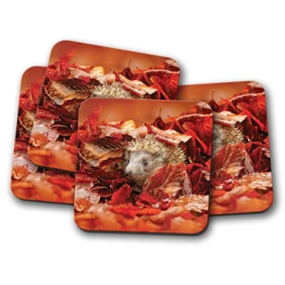 Image of 4 Set Adorable Hedgehog Coaster Autumn Leaves Hog Garden Wildlife #8852