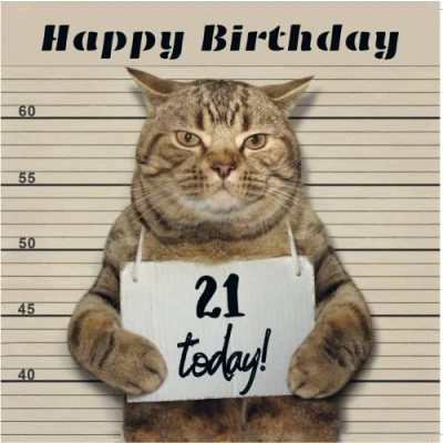 Image of Moggie Mugshot Funny Cat Birthday Card Humorous Greetings Cards (Moggie 21)