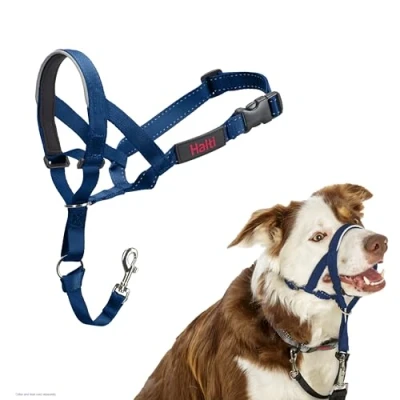 Image of HALTI Headcollar To Stop Your Dog Pulling on the Lead. Adjustable, Reflective and Lightweight, with Padded Nose Band. Training Anti Pull Collar for Medium Dogs (Size 2, Cobalt Blue)