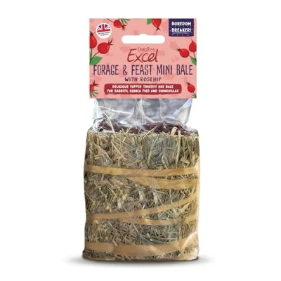 Image of Excel Forage &amp; Feast Mini Bale with Rosehip, 100g Hay Treat for Rabbits Guinea Pigs Natural Snack Topped Rosehip