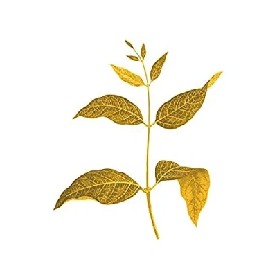 Image of Wee Blue Coo Botanics Gold And Grey Leaves Unframed Art Print Poster Wall Decor 12x16 inch