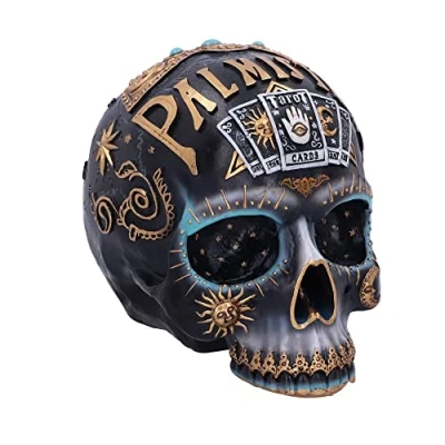 Image of Nemesis Now Destiny Skull, Black, 18cm