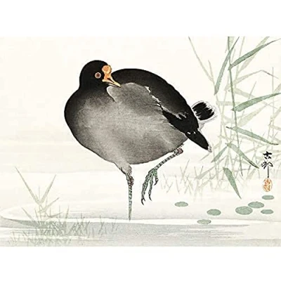 Image of Wee Blue Coo Moorhen Bird Ohara Koson Unframed Art Print Poster Wall Decor 12x16 inch