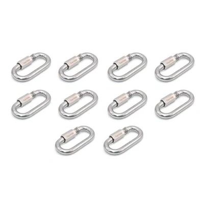 Image of Faspiroty 10pcs M3.5 Stainless Steel Screw lock Carabiner for Outdoor Activities, Keychain, Dog Leash