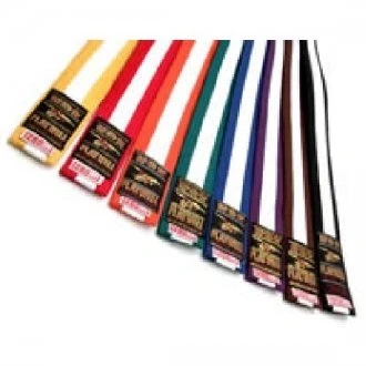 Image of Playwell Martial Arts 280CM Coloured Belt With White Stripe (Brown)