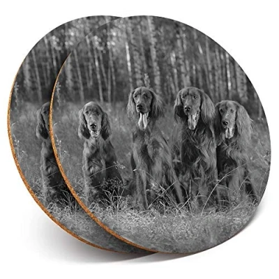 Image of 2 x Round Coasters Irish Setter Family Dog Cork Backed Home Kitchen Accessory Tea Coffee Mug Mat #39191