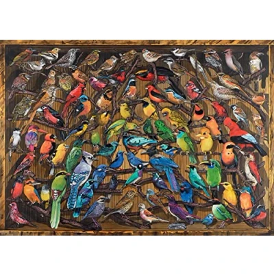 Image of Ravensburger Rainbow of Birds 1000 Piece Jigsaw Puzzles for Adults and Kids Age 12 Years Up Animals