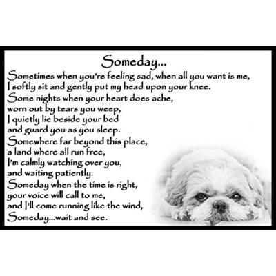 Image of Shih Tzu Memorial dog bereavement pet loss Flexible Fridge Magnet Someday