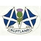 Image of Scotland Saltire Twin Flags Oval External Car Bumper Sticker Decal