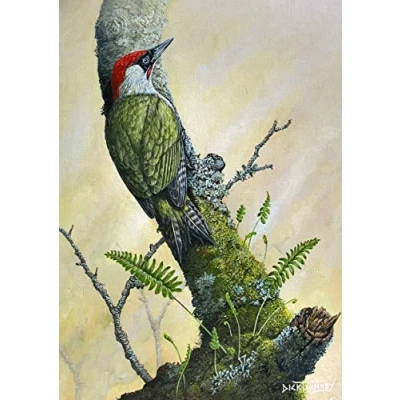 Image of Bird greeting card. Green Woodpecker and Polypody Fern by Dick Twinney