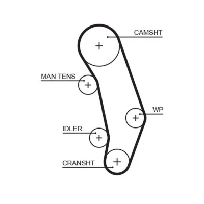 Image of 074109119F, 074109119H Timing Belt GATES FleetRunner Micro V Stretch Fit 5346XS 124 1181mm 26,5mm VOLKSWAGEN: Transporter 4, 4