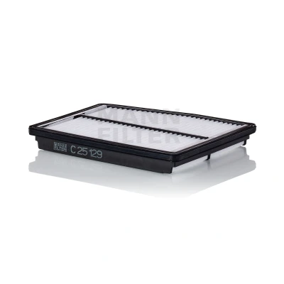 Image of 28113L5100 Air Filter MANN C 25 129 29mm 196mm 245mm Insert KIA: Sorento IV, HYUNDAI: Santa Fé IV