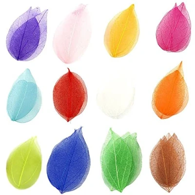 Image of Wudaizhi 36pcs Natural Skeleton Leaf Dry Leaves Scrapbooking Craft Diy Card Wedding Material Mix Color