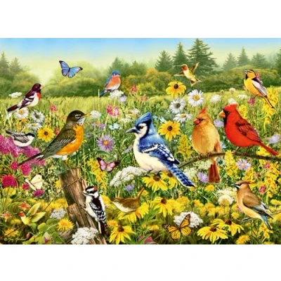 Image of Ravensburger 12000336 Birds in the Meadow 500 pieces jigsaw puzzle for adults and kids age 12 years up, animal
