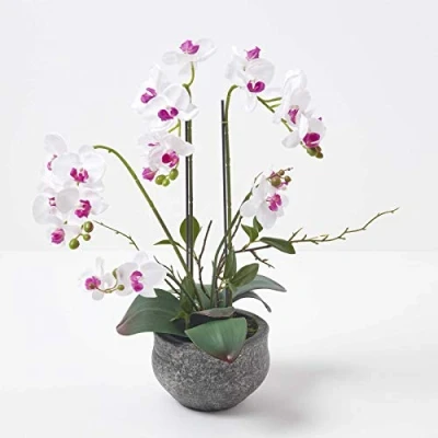 Image of HOMESCAPES Artificial White Orchid In Pot 52 cm Tall Lifelike Faux Plant Grey Cement with Real Touch Silk Flowers and Green Leaves Phalaenopsis Flower for Indoor Decoration