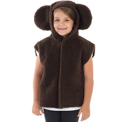 Image of Charlie Crow Dark brown Teddy Bear costume for kids one size 3 8 Years.