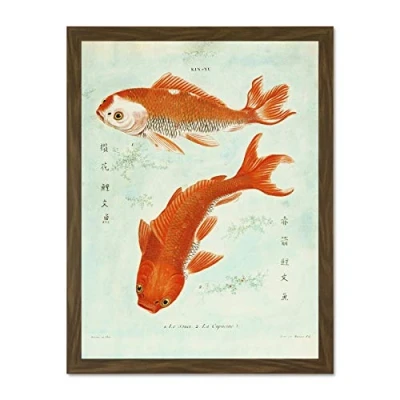 Image of Wee Blue Coo Fish Japanese Koi Large Framed Art Print Wall Poster 18x24 inch