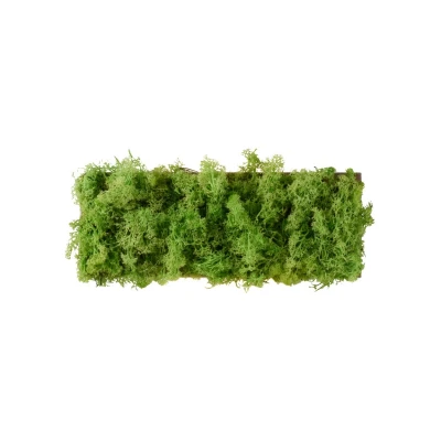 Image of JUST LIGHT. LED wall light Green Carlo, Up/Down, real moss